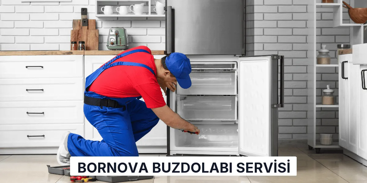 Bornova Buzdolabı Servisi