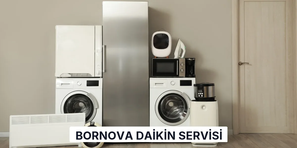 Bornova Daikin Servisi