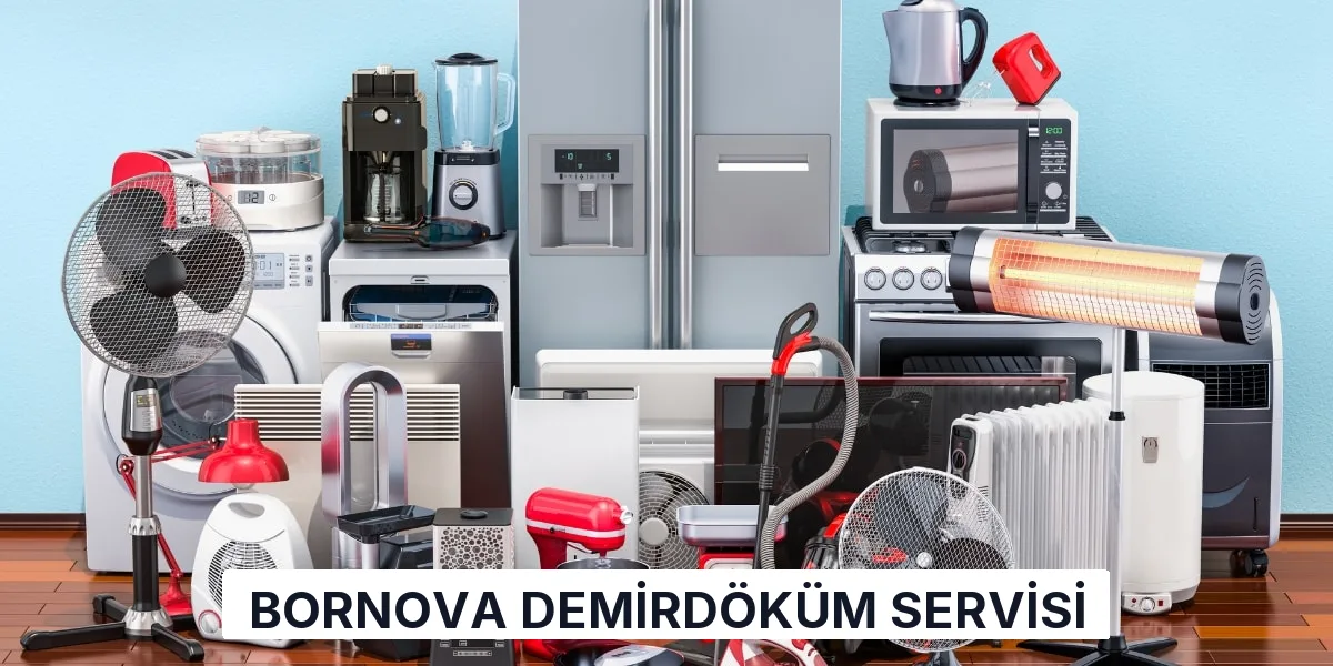 Bornova Demirdöküm Servisi