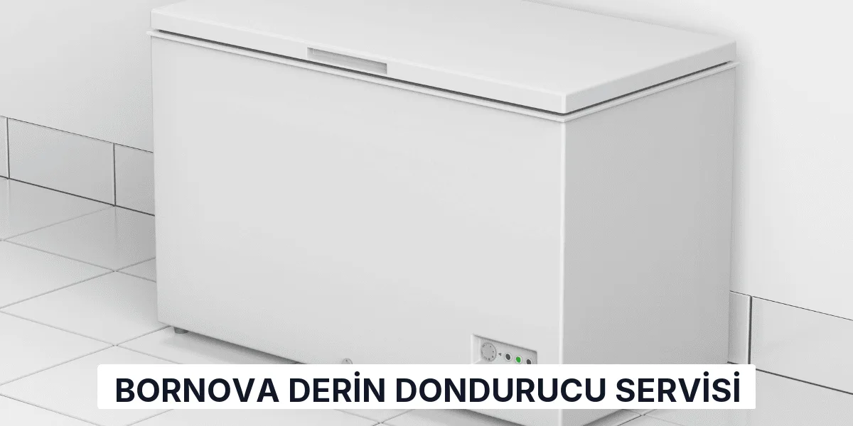 Bornova Derin Dondurucu Servisi