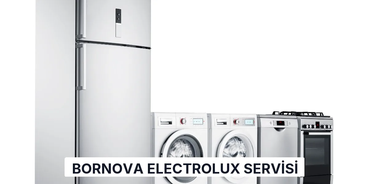 Bornova Electrolux Servisi