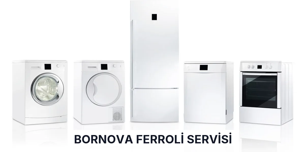Bornova Ferroli Servisi