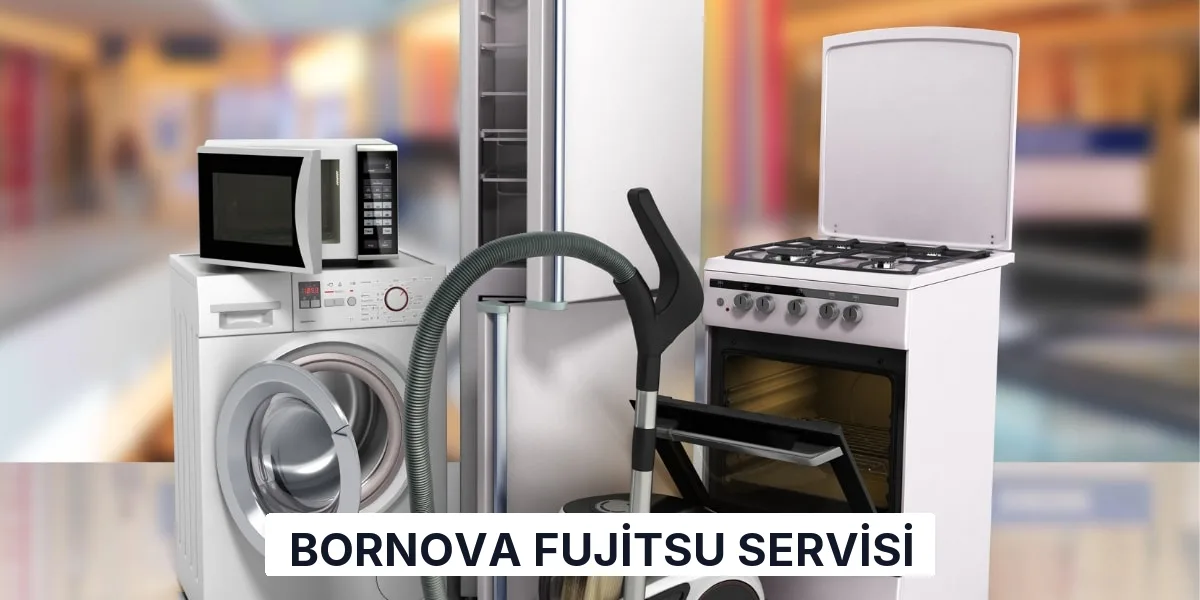 Bornova Fujitsu Servisi