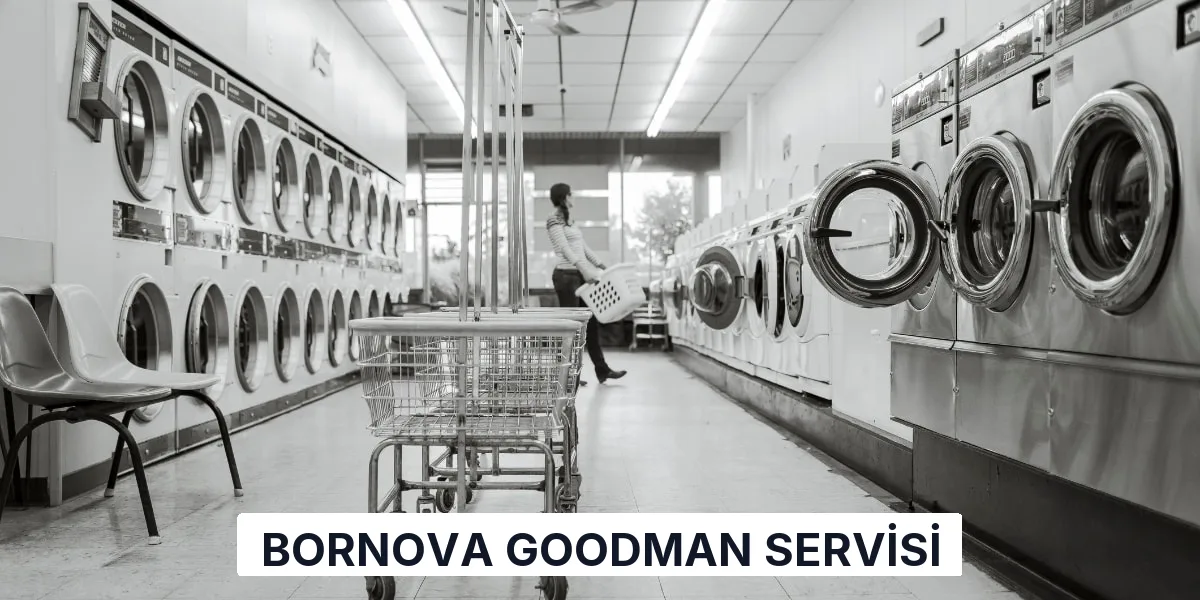 Bornova Goodman Servisi