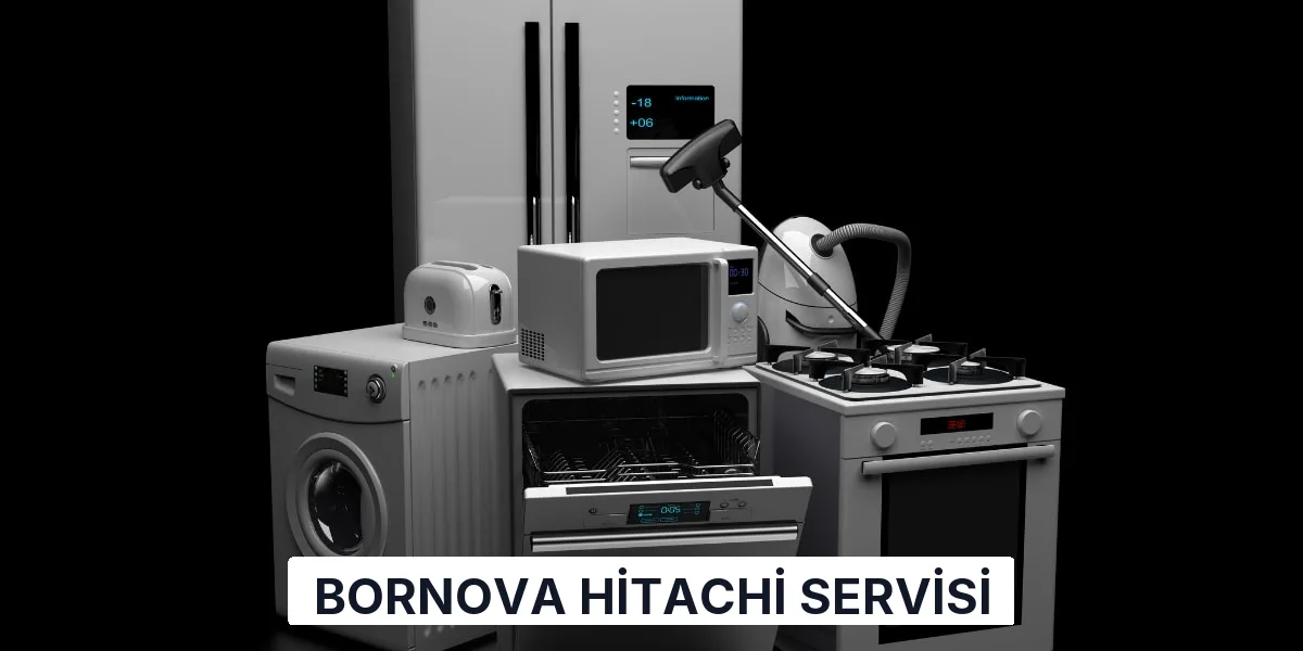 Bornova Hitachi Servisi