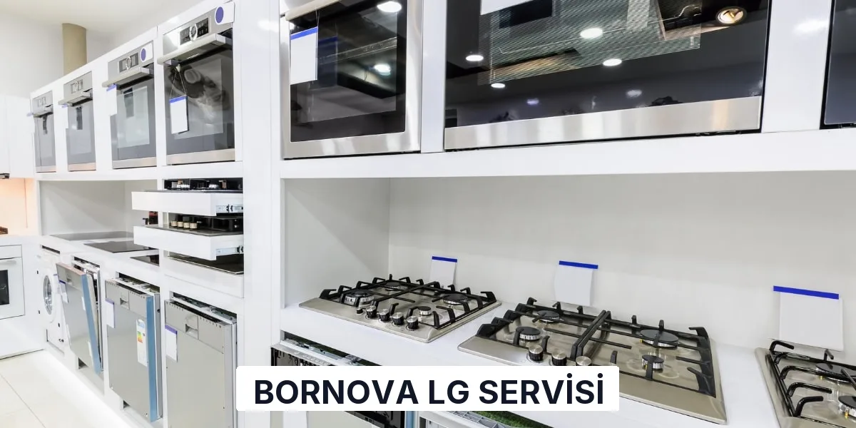 Bornova LG Servisi