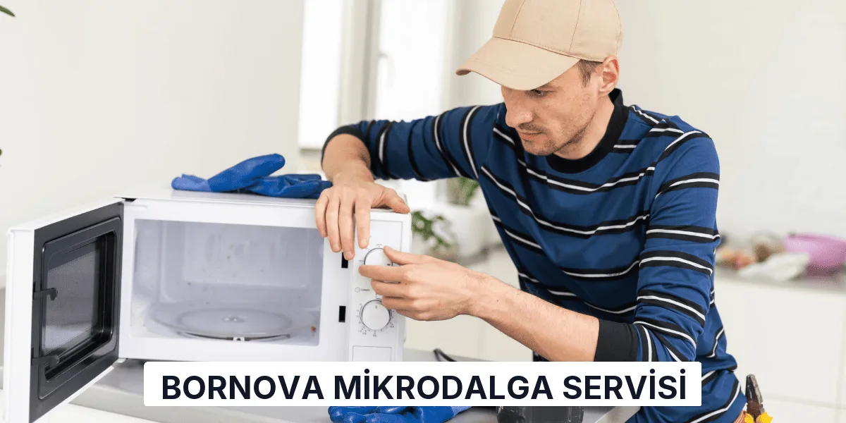 Bornova Mikrodalga Servisi