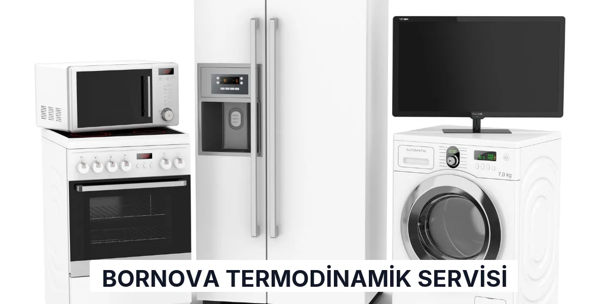 Bornova Termodinamik Servisi