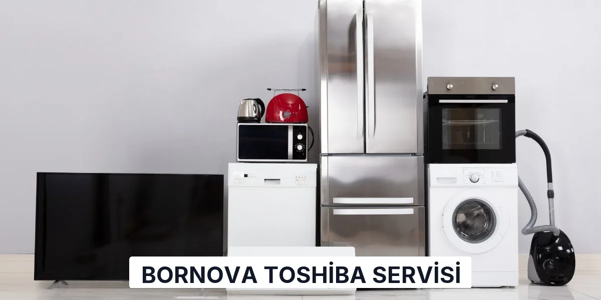 Bornova Toshiba Servisi
