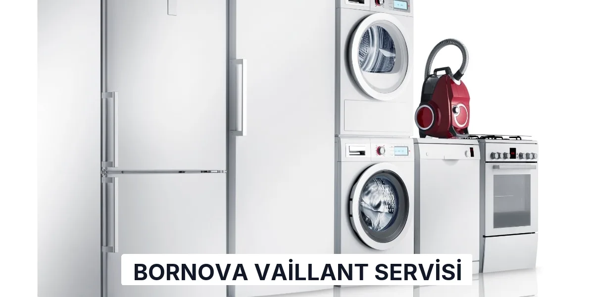 Bornova Vaillant Servisi