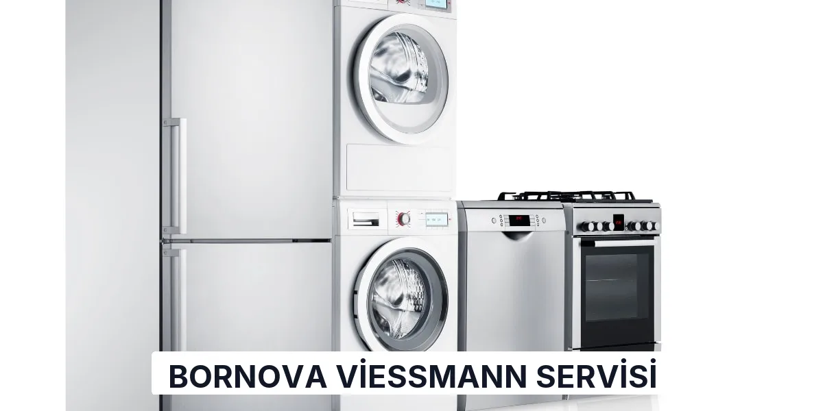 Bornova Viessmann Servisi
